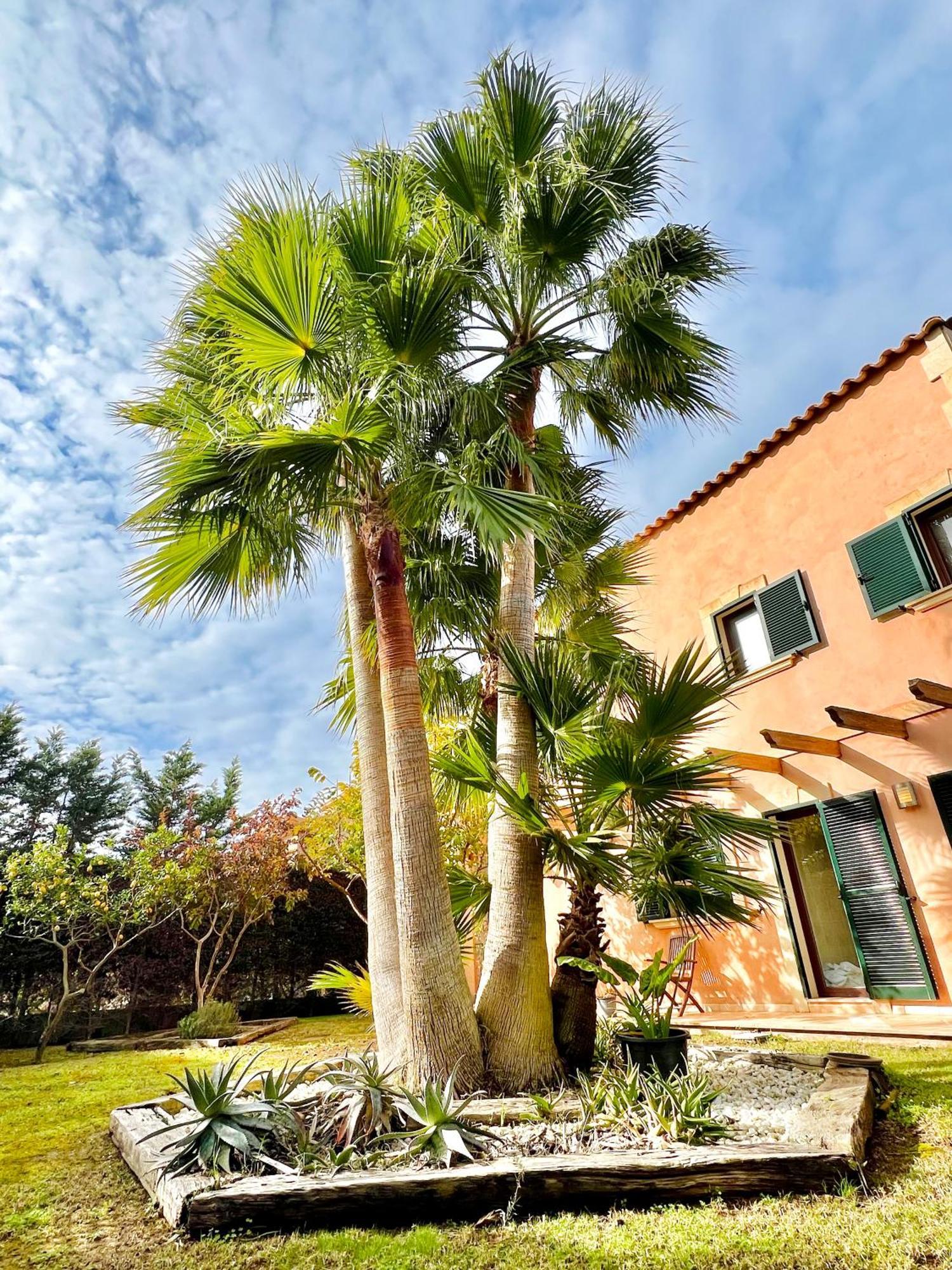 La Mallorquina Villa *