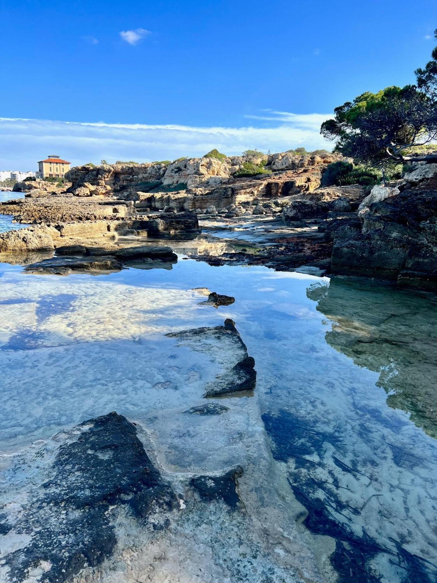 La Mallorquina *